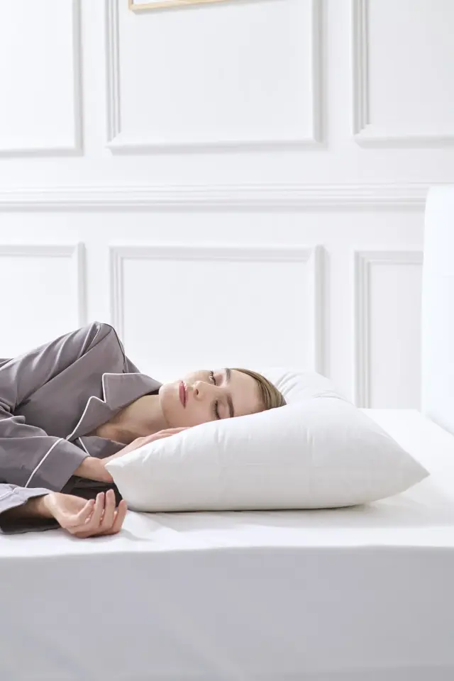 630FPフランス産ダウンピロー | スタンダード 50×70cm | ソフト